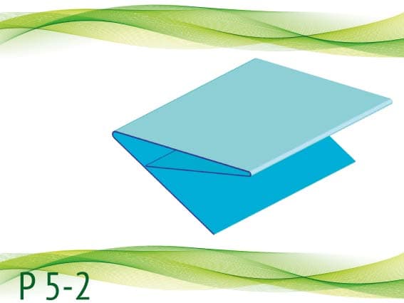 P 5-2